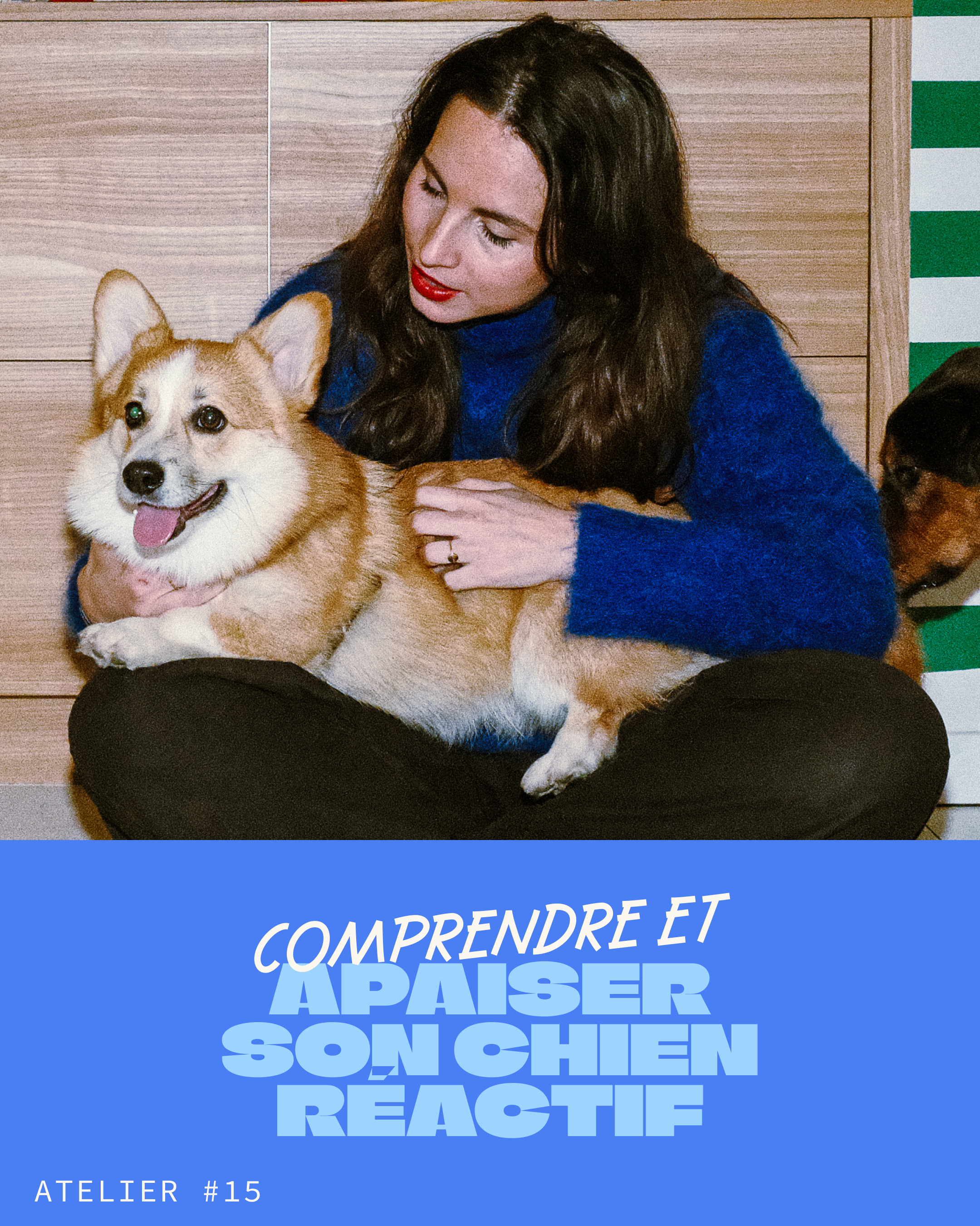 Atelier #15 : Comprendre et apaiser son chien réactif - 18.07.2026