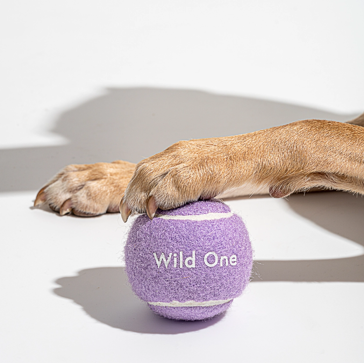 Tennisball - Lila