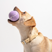 Tennisball - Lila