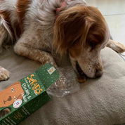 Spinach and Kelp - Organic Treats