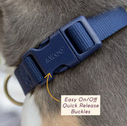 Collier pour chien - Mocha