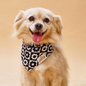 Bandana pour chien - Zoé noir