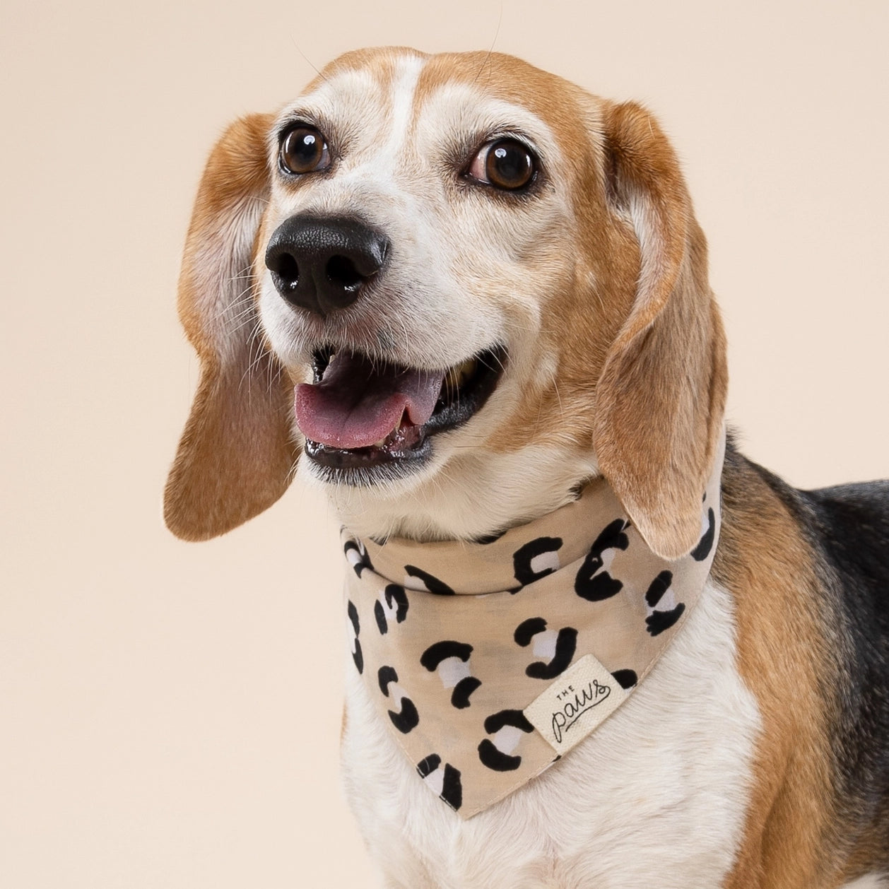 Bandana pour chien - Léopard beige