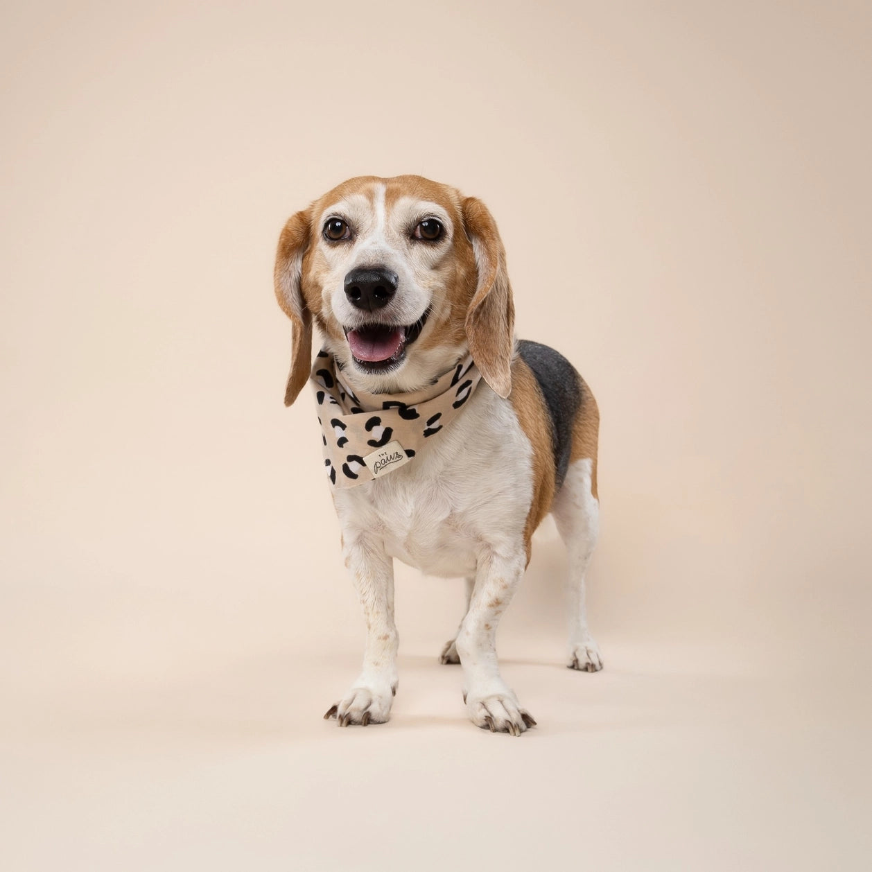 Bandana pour chien - Léopard beige