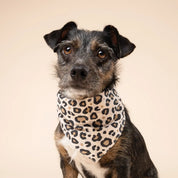 Bandana pour chien - Panthère