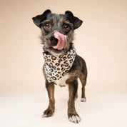 Bandana pour chien - Panthère