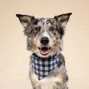 Bandana pour chien - Tartan bleu