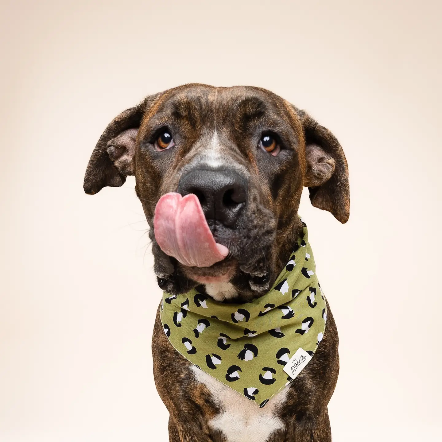 Bandana pour chien - Léopard kaki