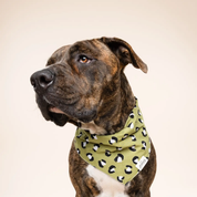 Bandana pour chien - Léopard kaki