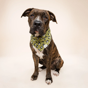 Bandana pour chien - Léopard kaki