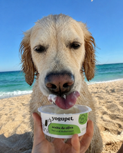 Glace pour chien et chat - Coco, ananas, banane