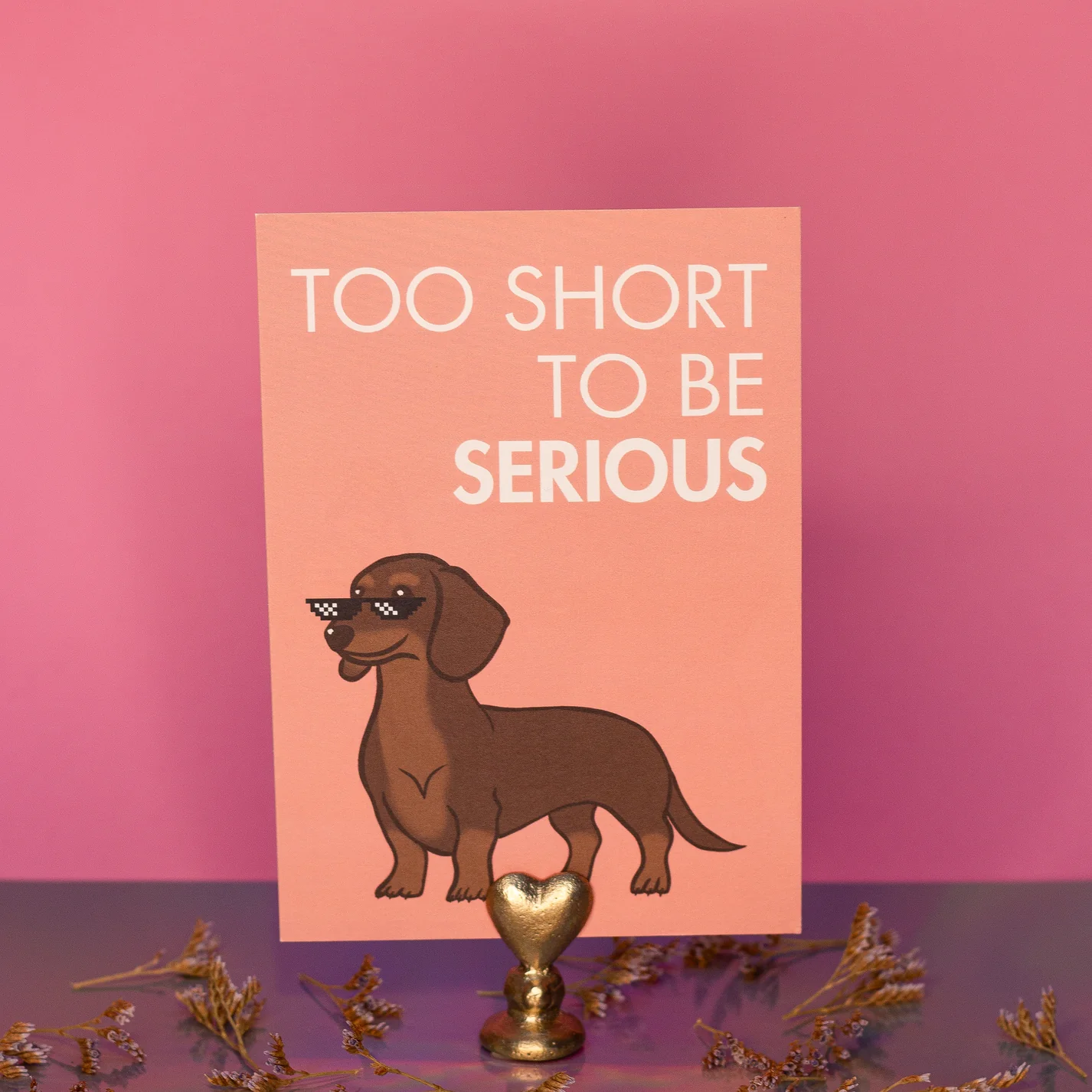 Carte Postale Teckel - Too short to be serious