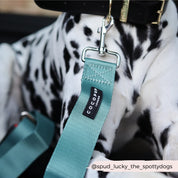 Ceinture de sécurité pour chien - Kaki