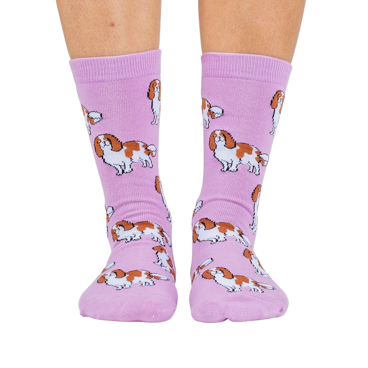 Chaussettes Dog Race - Cavalier King Charles