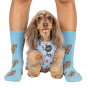 Chaussettes Dog Race - Cocker