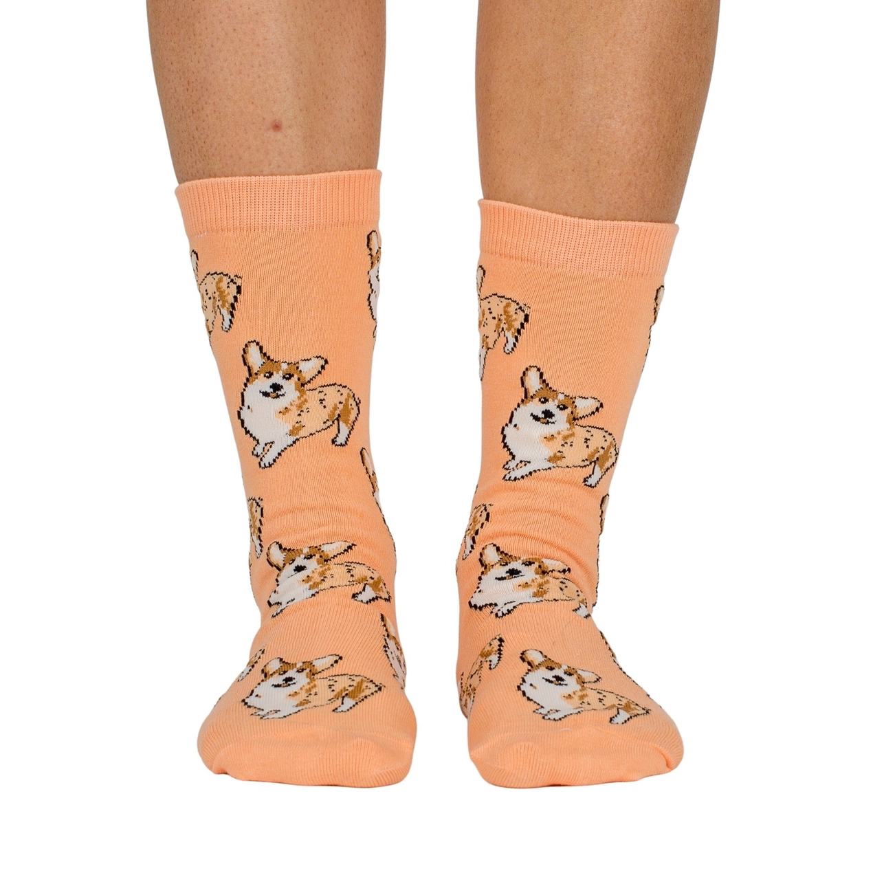 Chaussettes Dog Race - Corgi