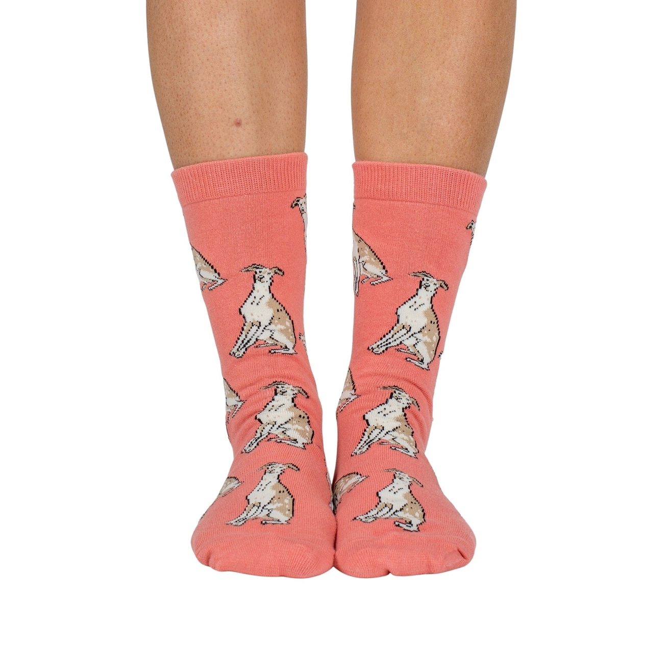 Socken Dog Race - Whippet