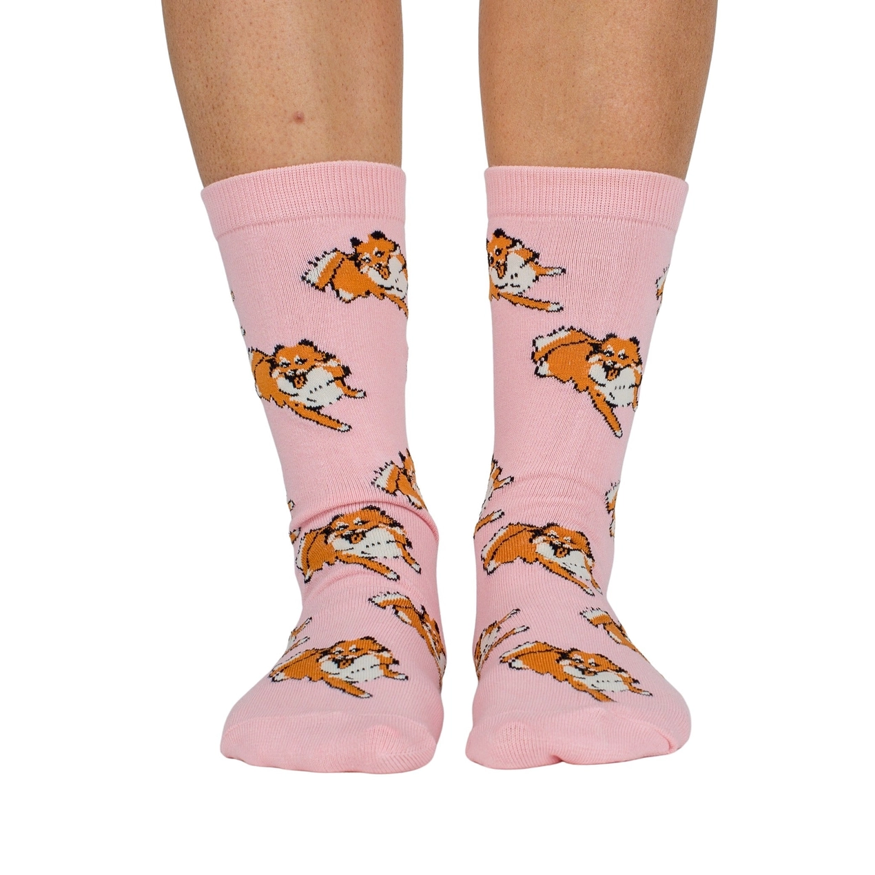 Chaussettes Dog Race - Spitz