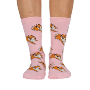 Chaussettes Dog Race - Spitz