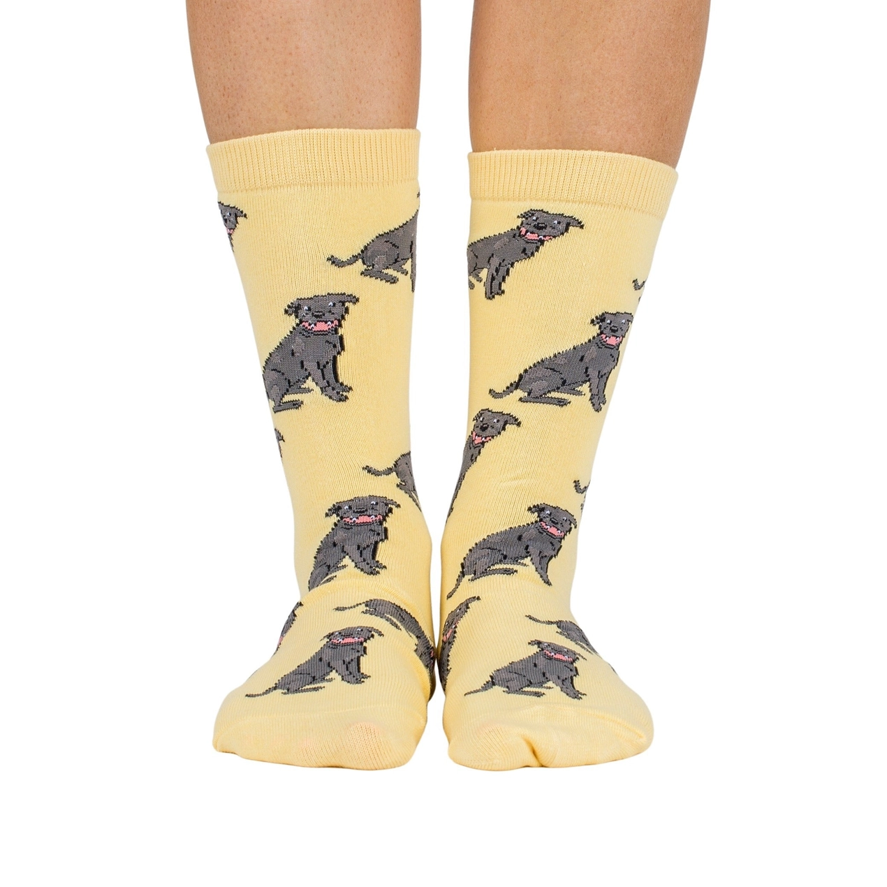 Chaussettes Dog Race - Staffy