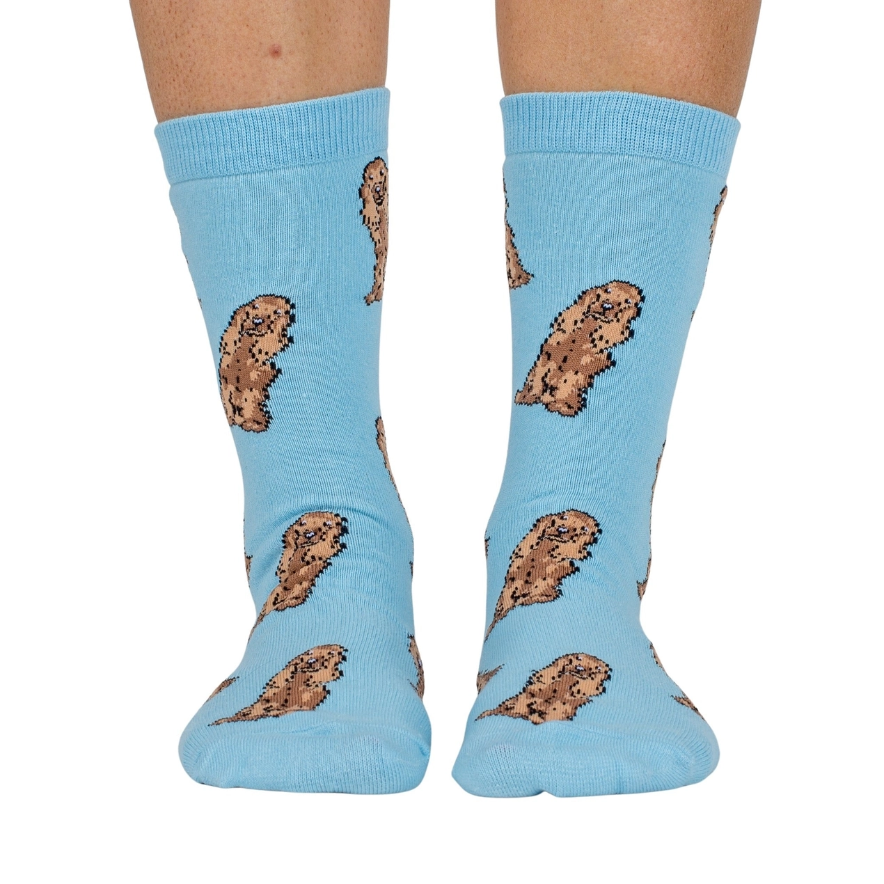 Chaussettes_Cockers_-_Pablo_Co.png
