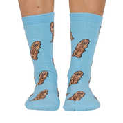 Chaussettes Dog Race - Cocker