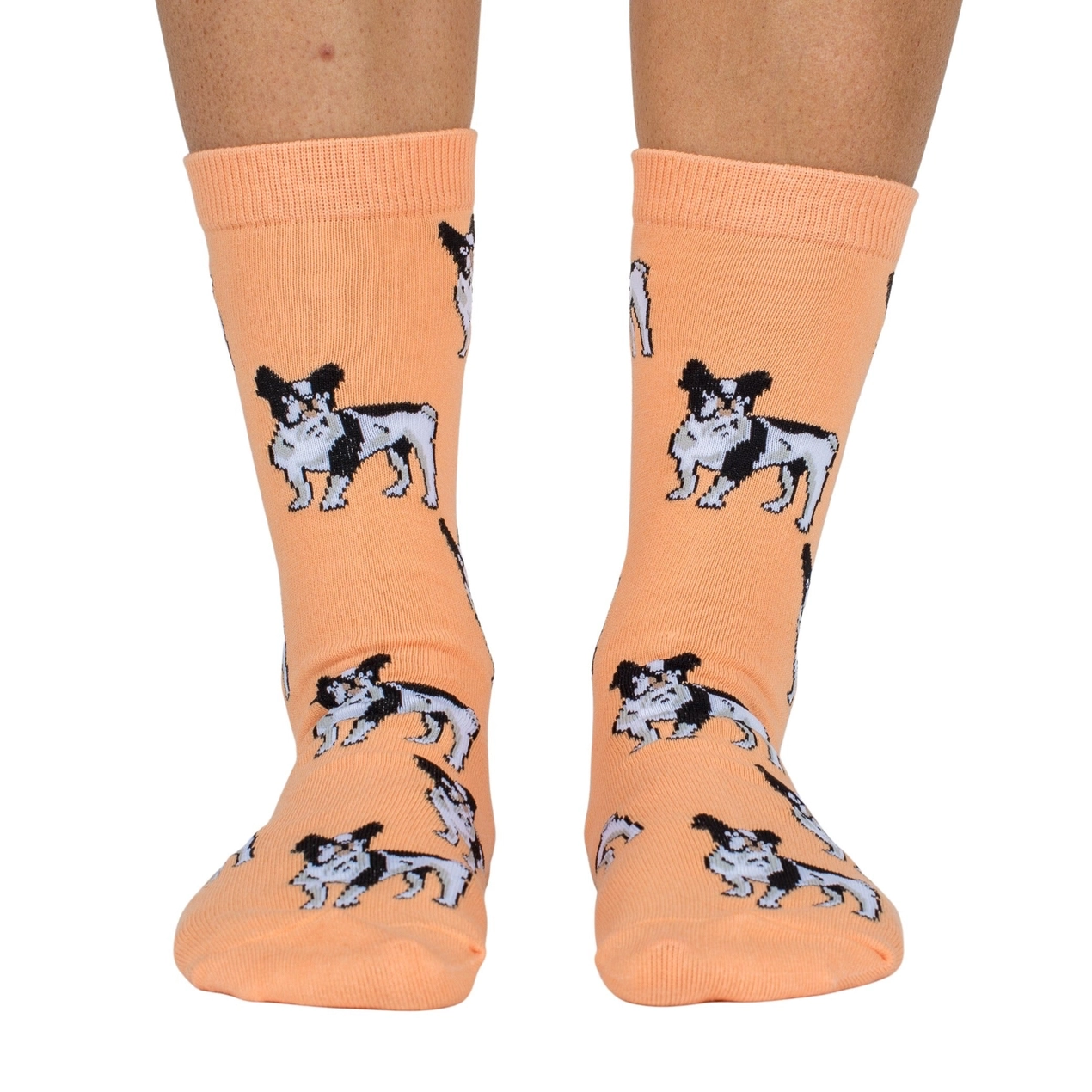 Chaussettes bouledogue français - Pablo & Co