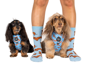 Socken Dog Race – Dackel