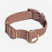 Collier pour chien - Mocha