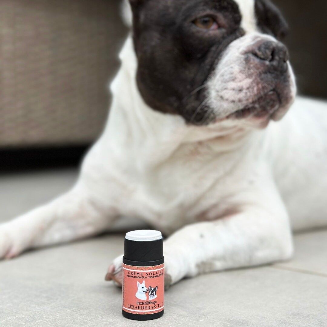 Crème solaire SPF 30 pour chien