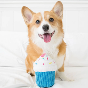 Peluche - Le cupcake