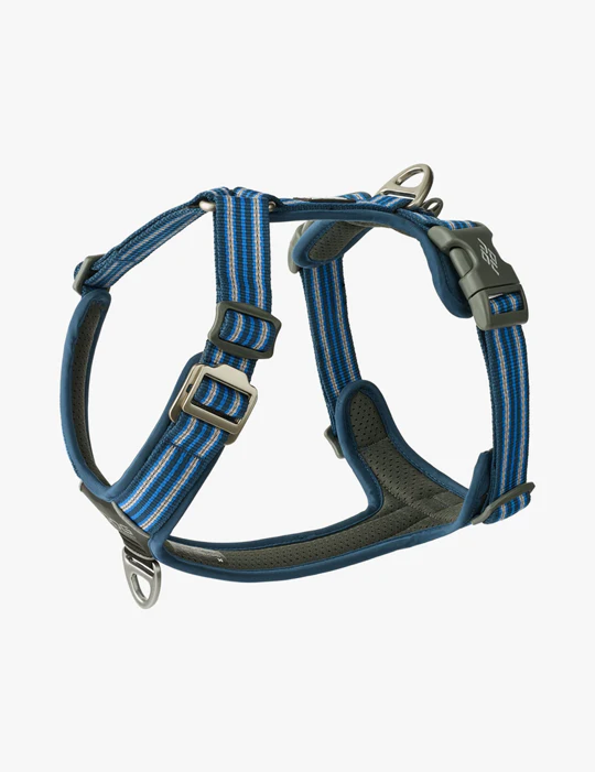 Dog-Copenhagen-bleu.png