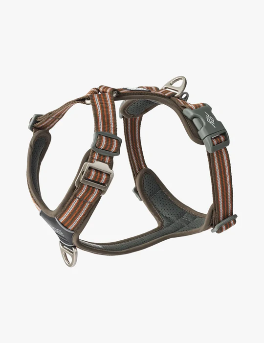 Dog-Copenhagen-marron.png