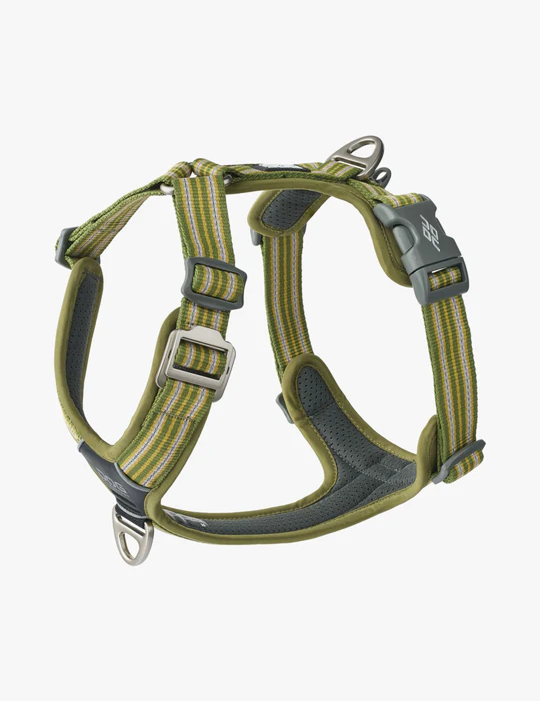 Dog-Copenhagen-vert.png