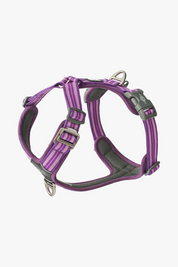 Harnais Comfort Walk Air™ - Violet