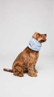 Snood - Summer Daisy