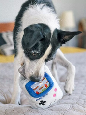 Peluche - La game boy