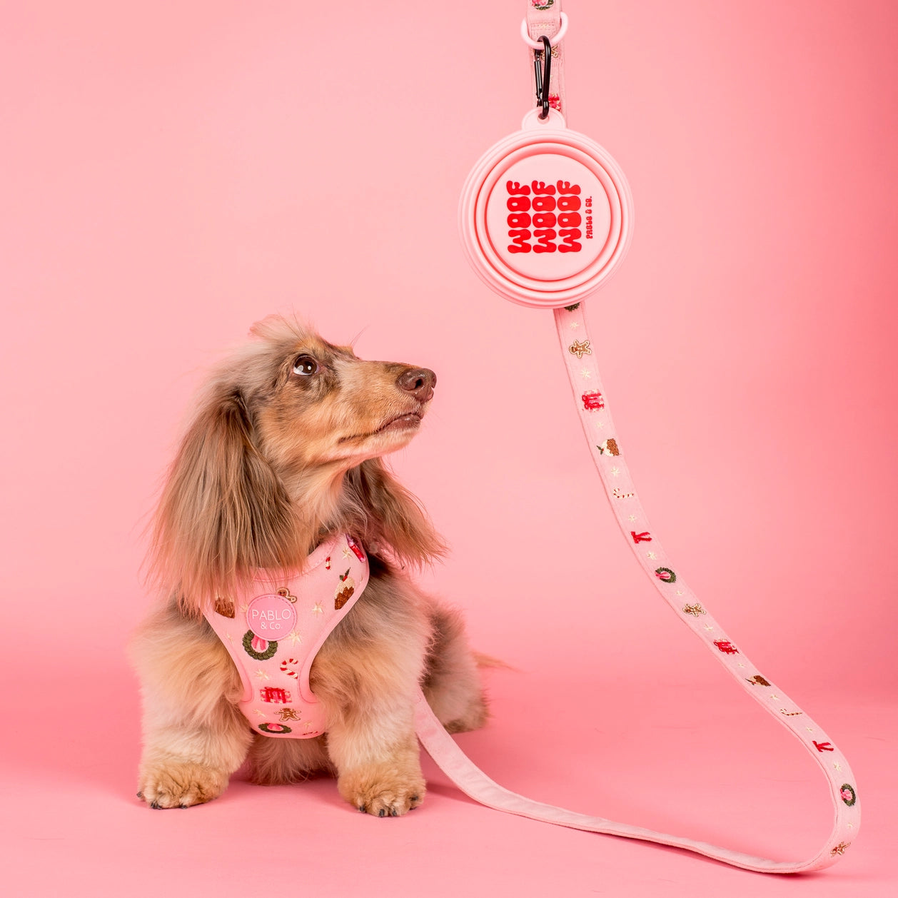 Gamellepliable-Pablo_Co-Woof5.webp