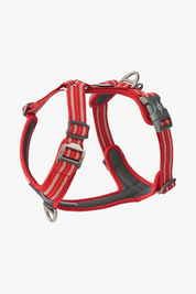 Harnais Comfort Walk Air™ - Rouge