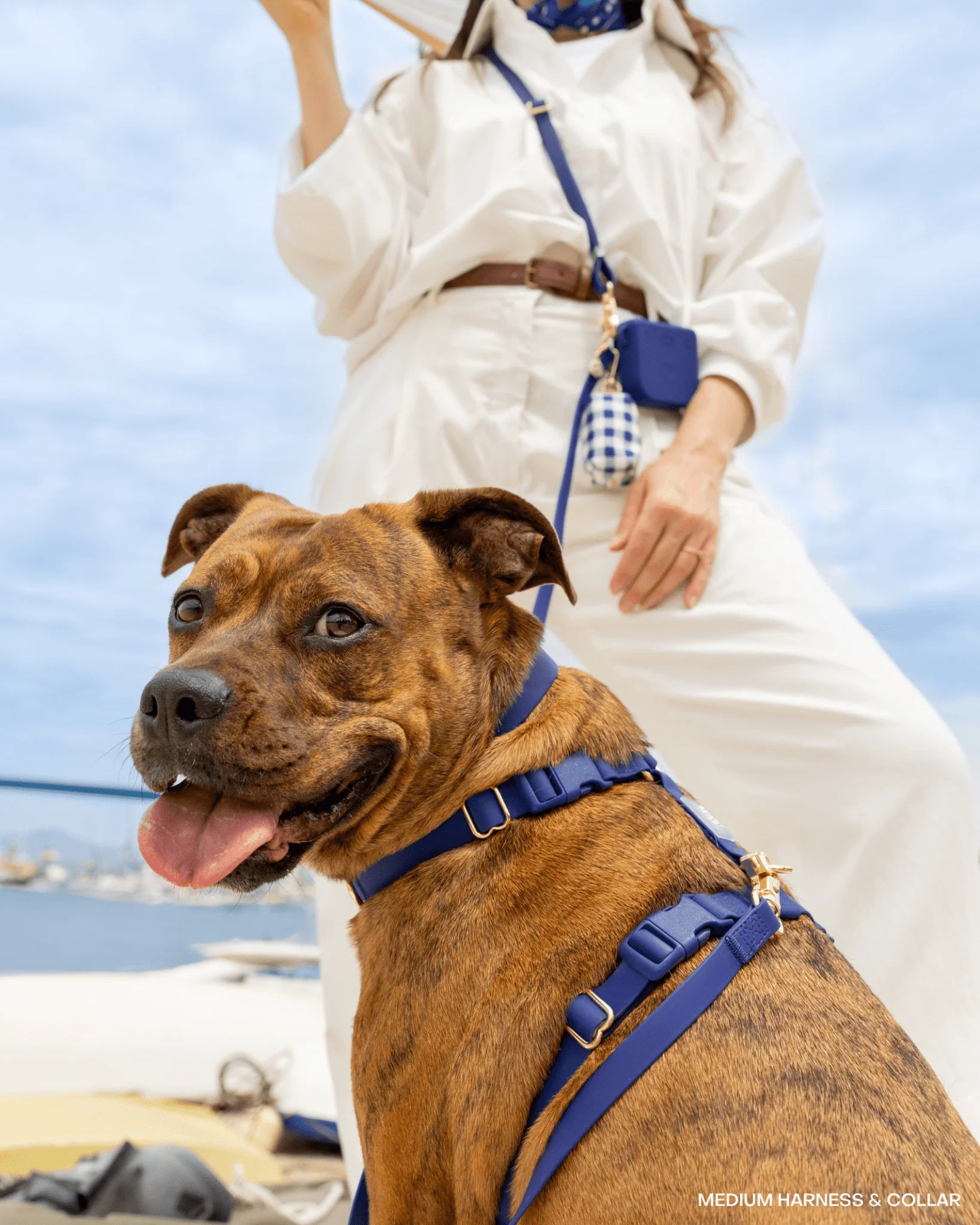 Harnais waterproof - Bleu marine