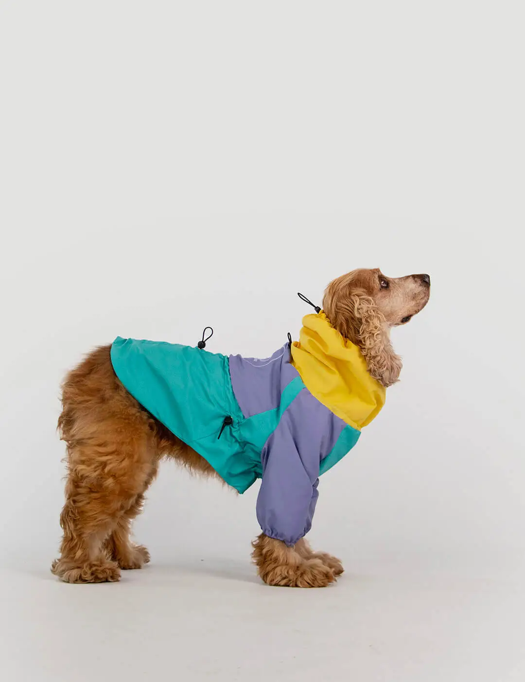 Impermeable90_sQisu4.png