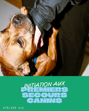 Atelier #12 : Initiation théorique aux premiers secours canins - 11.04.2026