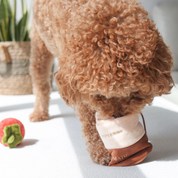 Snuffle Toy - Tomato Soup