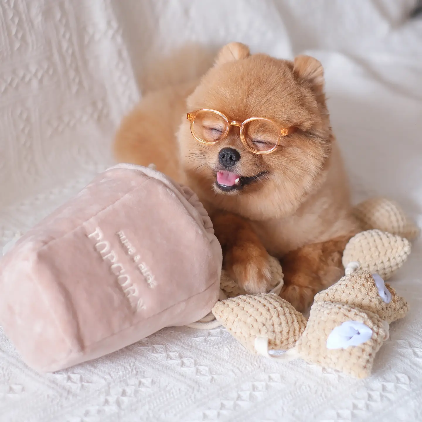JouetdefouillepopcornPups_Bubs2.png