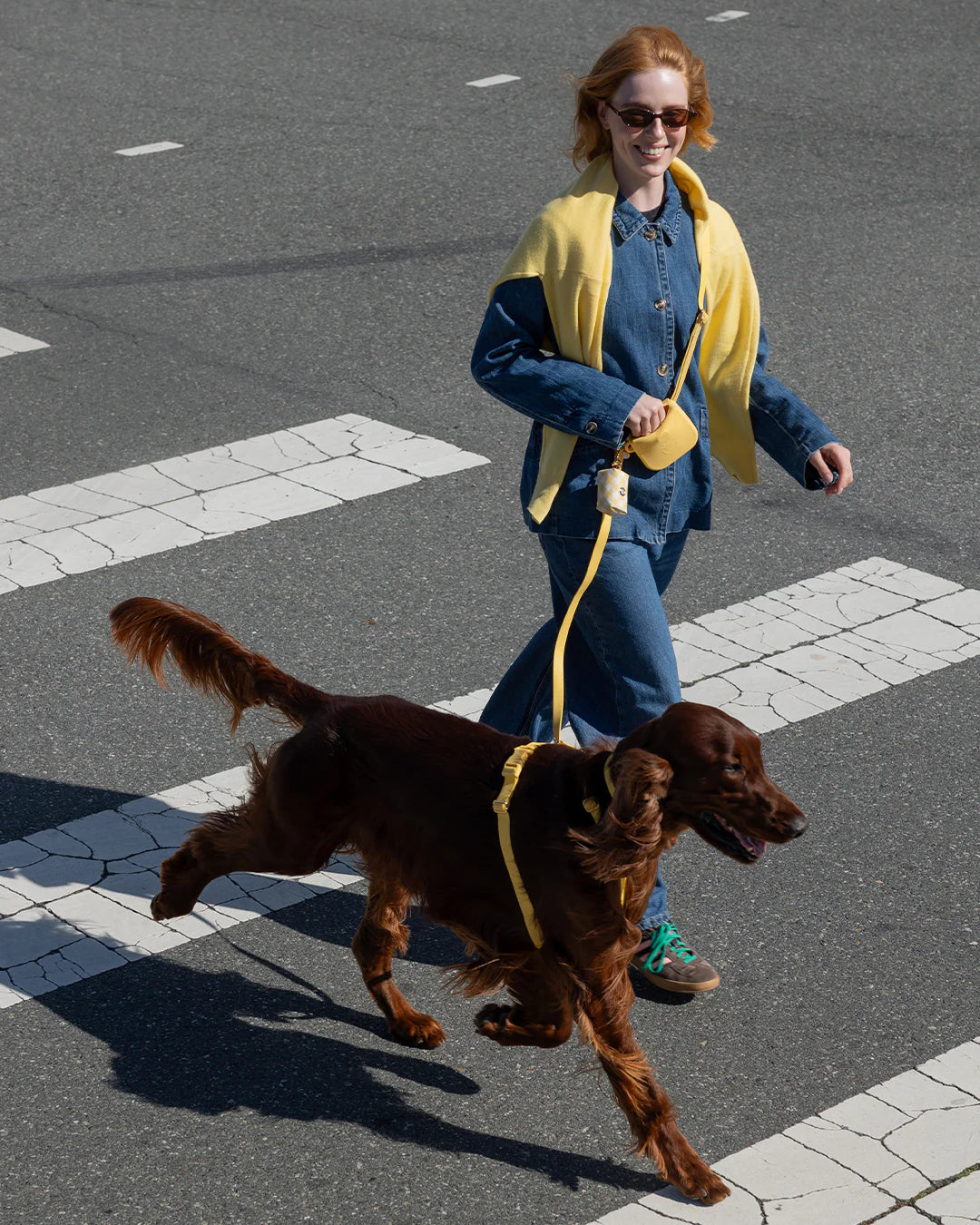 Laisse 4-en-1 mains libres waterproof - Jaune