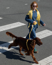 Laisse 4-en-1 mains libres waterproof - Jaune