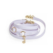 Laisse 4-en-1 mains libres waterproof - Lavande