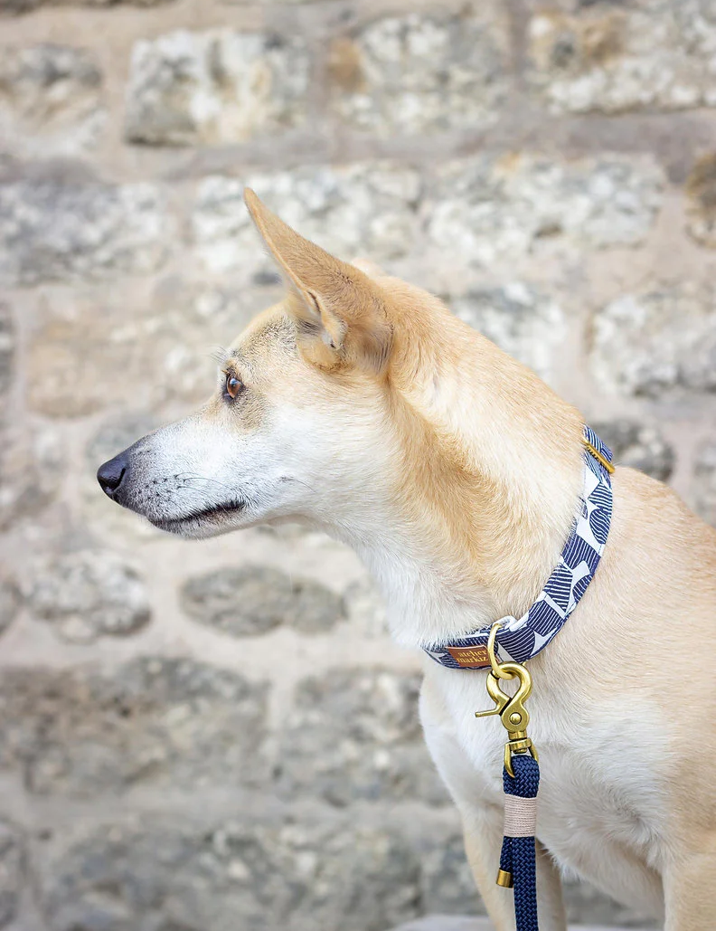 Laisse en corde - Navy-Muzon