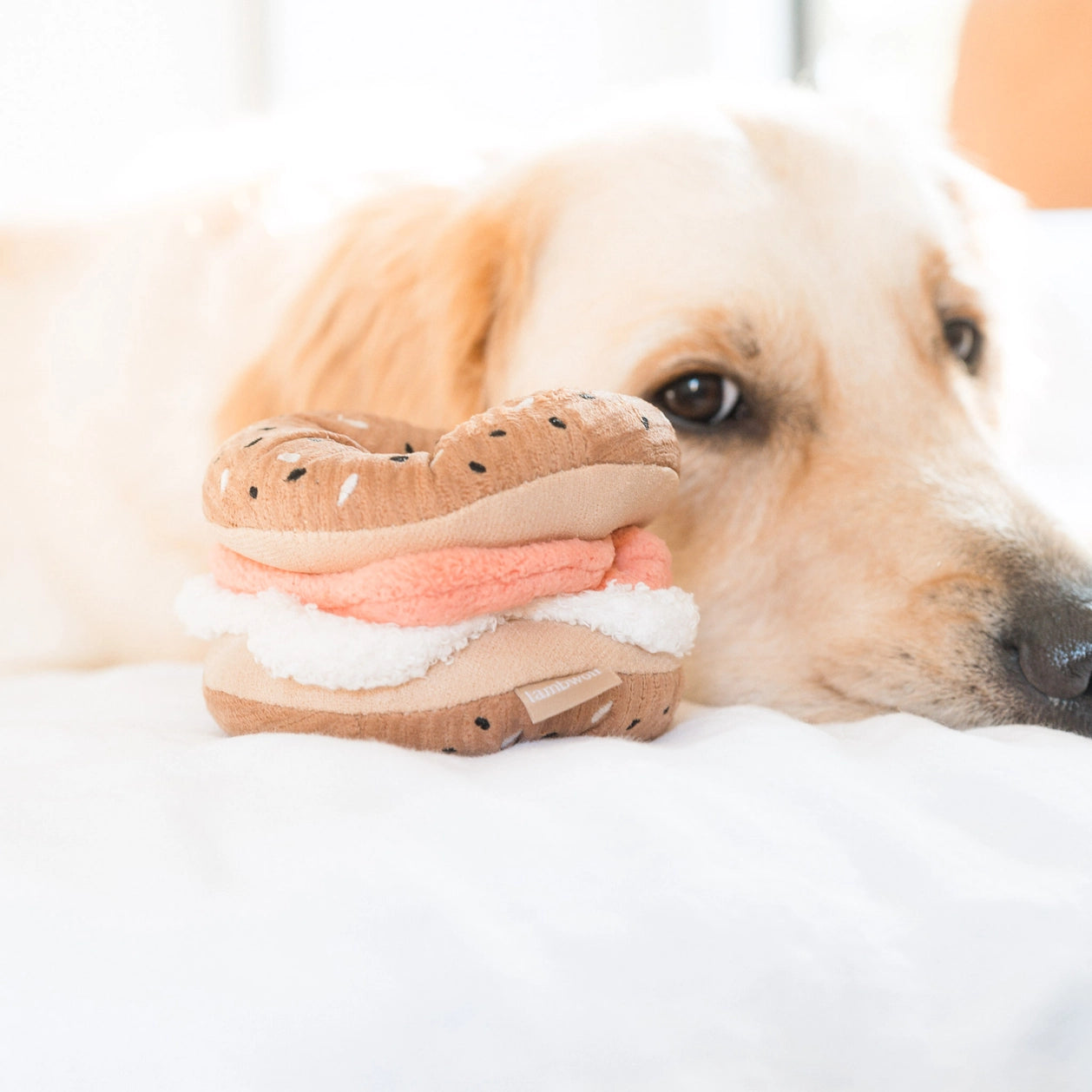 Jouet de fouille - Le bagel