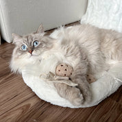 Jouet pour chat - Le sachet de thé